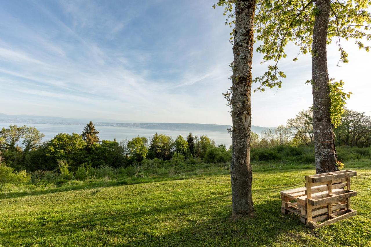 Garden & City Evian - Lugrin Eksteriør billede